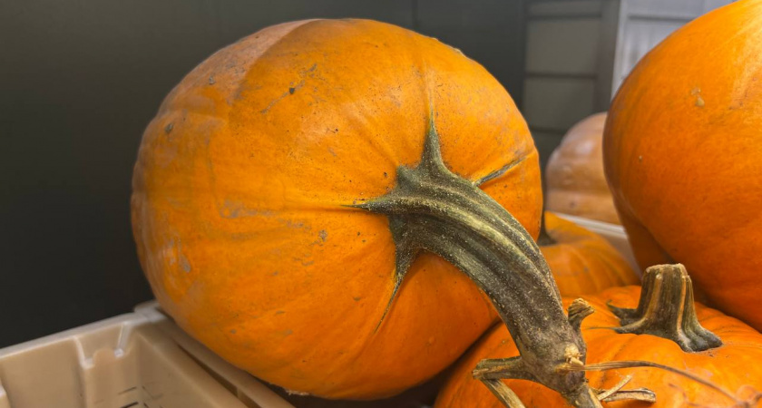 Тыквенная каша, которую полюбит вся семья сначала за аромат, а потом - за восхитительный вкус, готовится всего за 30 минут