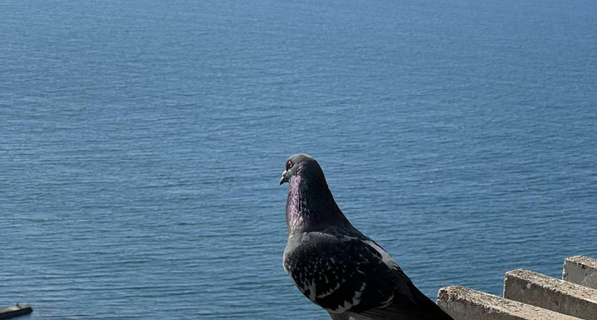Куда сбежать от холода в январе: топ-3 страны, где будет гарантированно жарко
