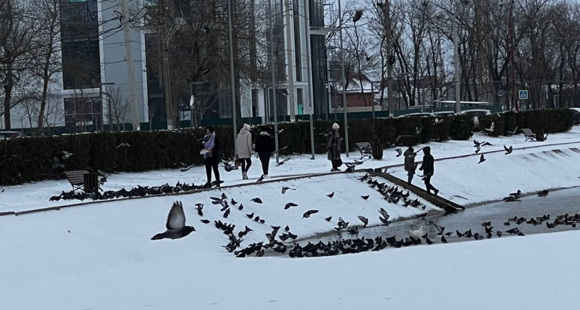 «Январь и февраль ожидаются экстремальными»: синоптики рассказали, к чему готовиться