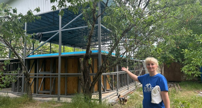 В Анапе уже через пару месяцев откроется стационар для лечения дельфинов