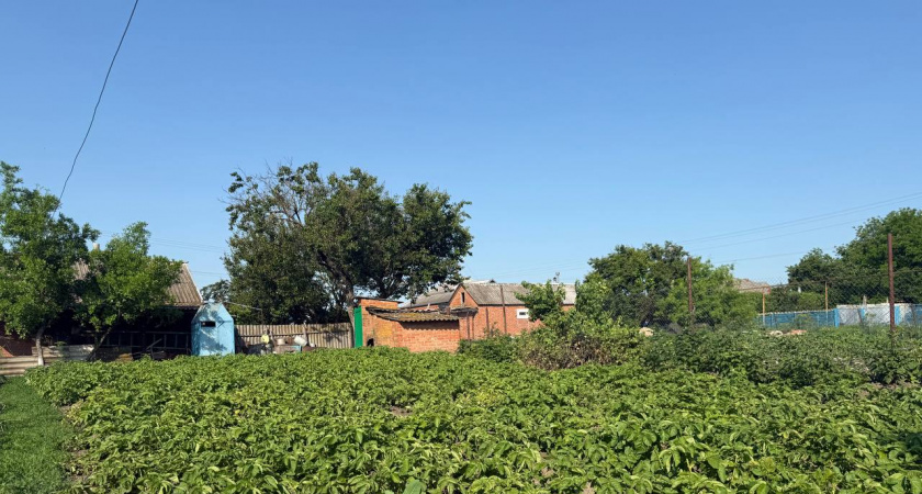 Простой метод узнать кислотность грунта без специальных приборов — быстрый тест  