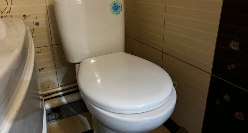 В доме теперь не "прёт канализацией": провела простую процедуру с унитазом — вонь в санузле ушла за 10 секунд