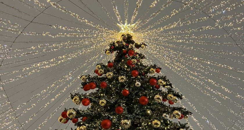 Задобрите фортуну: в каких цветах встречать Новый год - 2026, поделилась нумеролог Егиазарова  