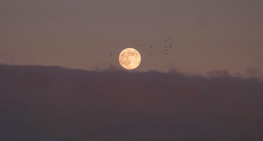 Последнее Суперлуние года: гигантская луна нависла над Новороссийском и подсветила «бороду» 