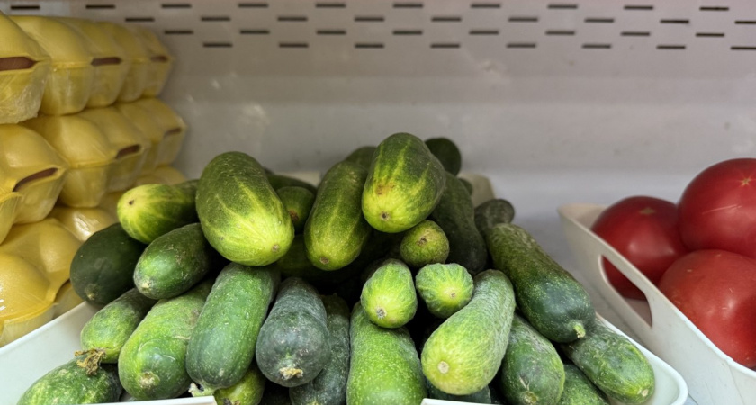 До 30 кг с 1 куста: три идеальных сорта огурцов - растут даже на Севере, плодоносят вплоть до заморозков