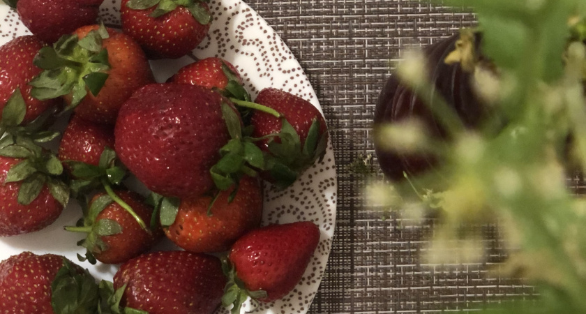 Сею клубнику в горшке на подоконнике так, что валит урожаем круглый год - собираю по 2 кг с куста  