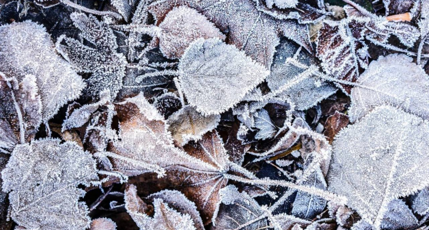 Контрасты погоды: синоптики обещают на Кубани днём до +14, а ночью заморозки