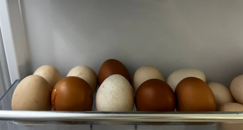 Стакан в кастрюлю — и яйца чистятся идеально: что сыплют в воду перед варкой все опытные хозяйки