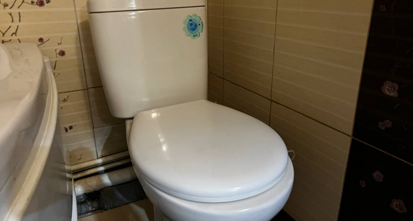 2 стакана в унитаз - и он чист до неузнаваемости: ни налета, ни ржавчины, эффект 100%  