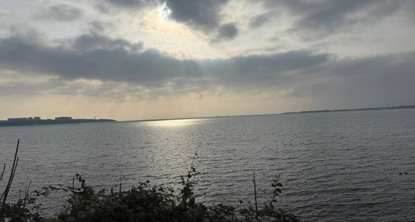 В Новороссийске море быстро остывает: какая температура воды сейчас на курортах Кубани