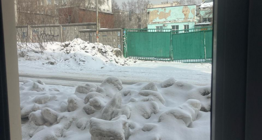 Синоптик Роман Вильфанд уверен: площадь снежного покрова вырастет