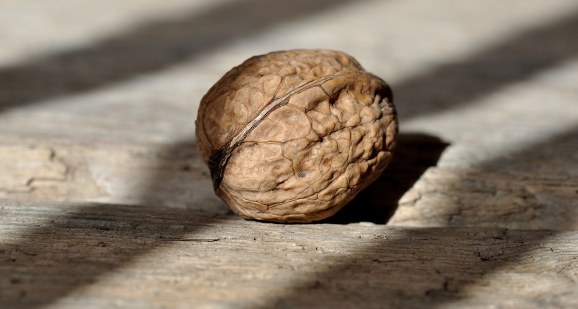 Ценное удобрение: Используем скорлупу орехов с пользой — она необходима вашему огороду