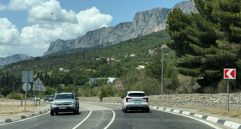 Эти 4 документа точно не нужно показывать инспектору ДПС, хотя их просят