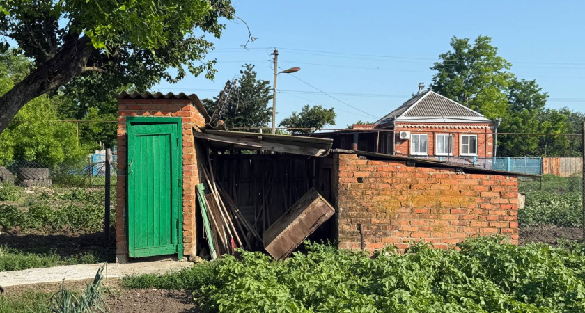 Кидайте 1 таблетку раз в месяц - выгребная яма очищается даже в зимний период