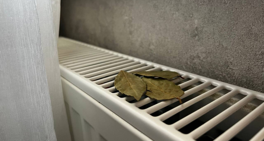 Зачем опытные хозяйки зимой кладут лавровый лист на батарею — этот натуральный "освежитель" работает лучше магазинных