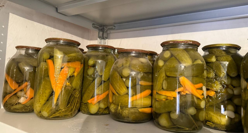 Чтобы огурцы хрустели на всю квартиру: готовлю в декабре на выбор 3 эти бюджетные подкормки