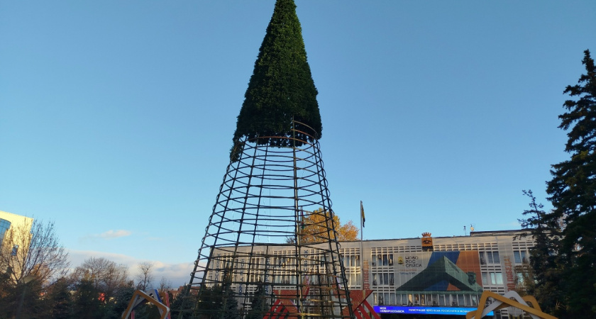 В Новороссийске начали устанавливать главную елку у здания администрации города