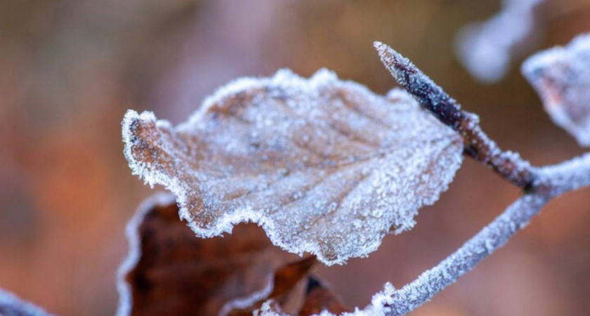 Зима берёт Кубань штурмом: дожди, мокрый снег и штормовой ветер обещают синоптики 13 декабря