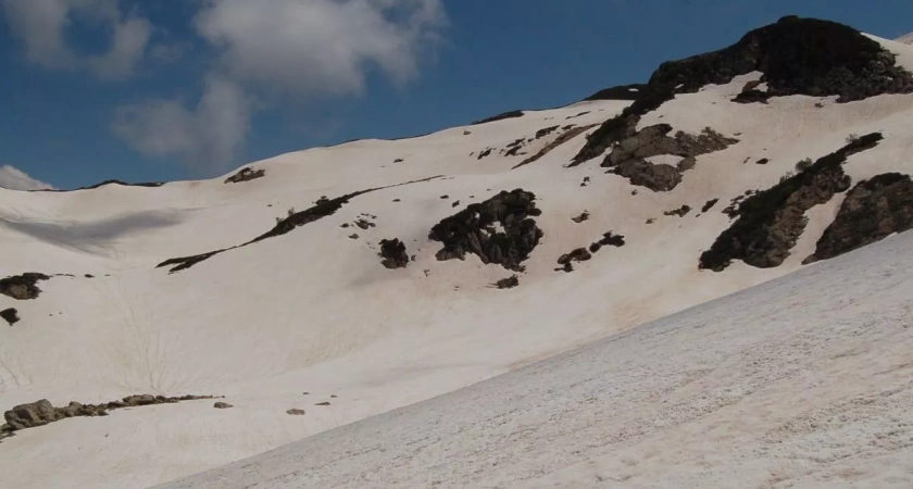 В горах Сочи за сутки выпало почти 20 сантиметров снега