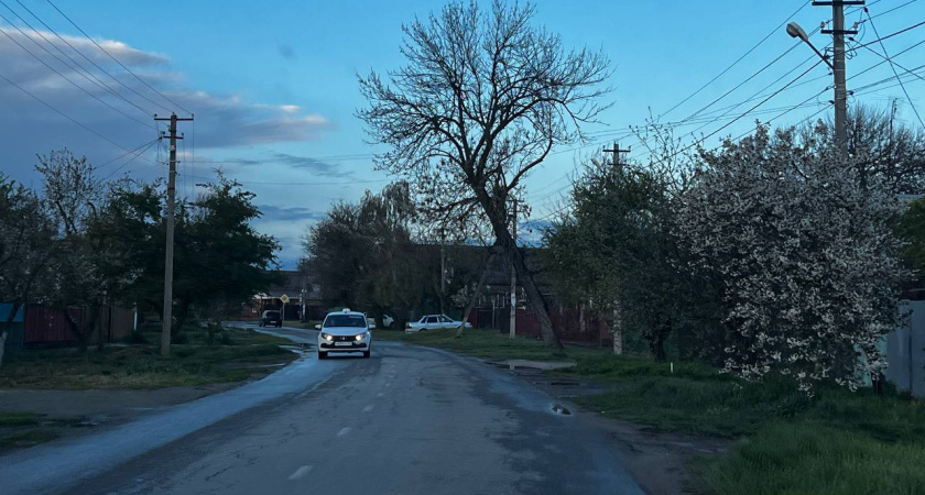 Натираю лобовое стекло этим овощем и катаюсь всю зиму без льда - чистые окна даже в лютый мороз  