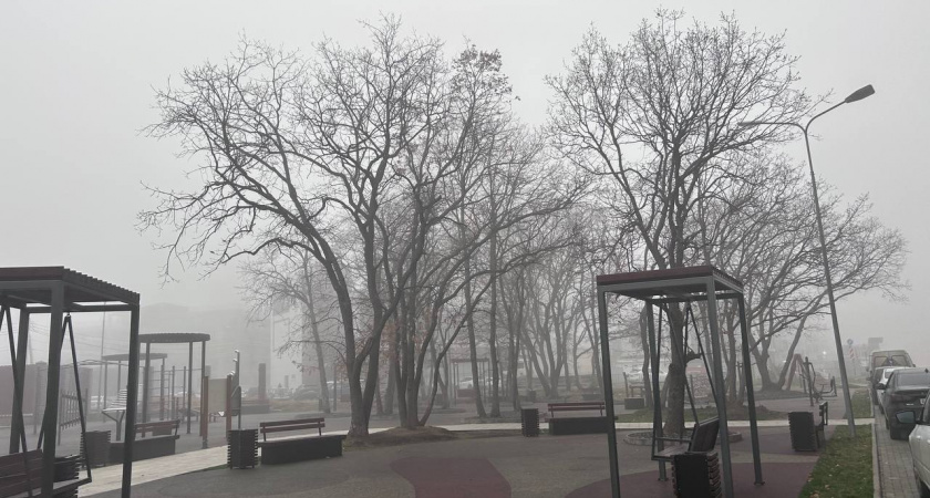 Декабрьское тепло: синоптики рассказали, какой будет погода в Краснодарском крае в субботу