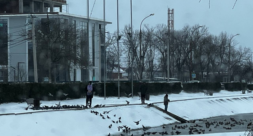 23 декабря Россию накроет волна арктического холода: где ожидаются самые сильные морозы - Роман Вильфанд