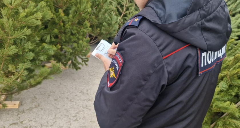 Елки вне закона: в Новороссийске полицейские прикрыли нелегальную торговлю хвойными деревьями  