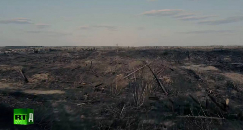 "Люди остались без всего": масштабные пожары в ЛНР  обернулись катастрофой