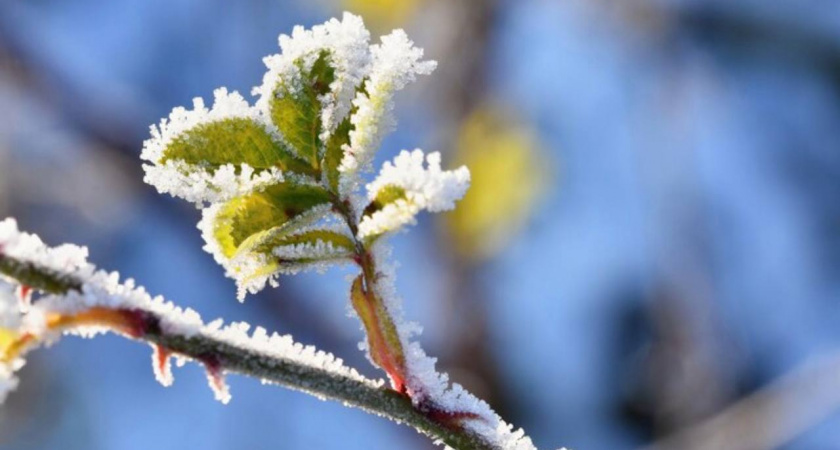 Метели, ледяной дождь и ураганный ветер: синоптики рассказали о погоде на Кубани в последние выходные