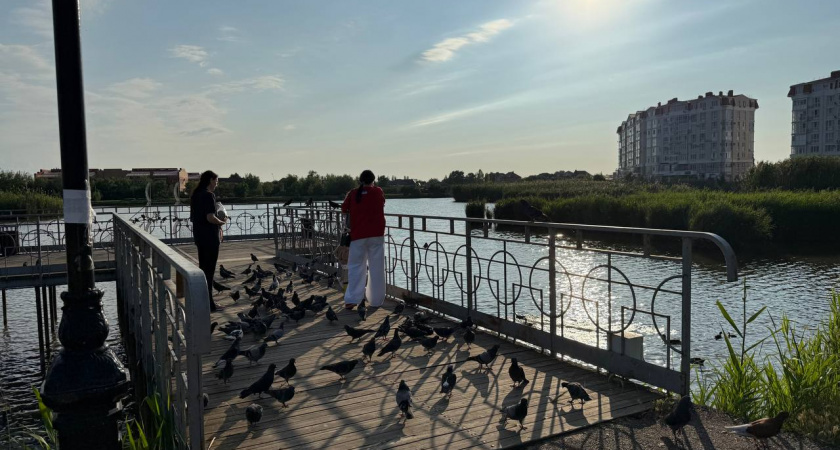 Почему умные люди перестают общаться с другими людьми: 5 основных причин