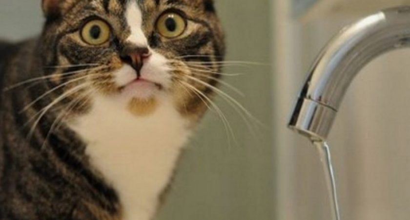 МУП «Водоканал Новороссийска»: графика подачи воды в городе нет