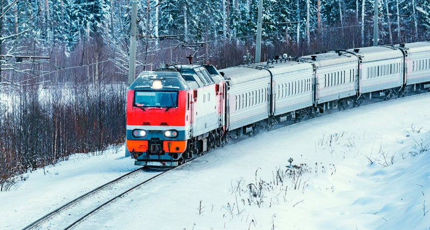 Сбой на железной дороге: в Воронежской области остановлены десятки поездов на юг