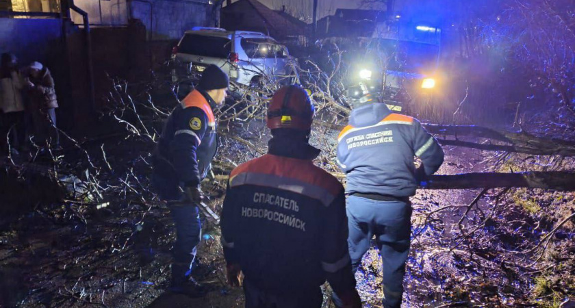 58 вызовов за праздники: как новороссийские спасатели отработали новогодние каникулы