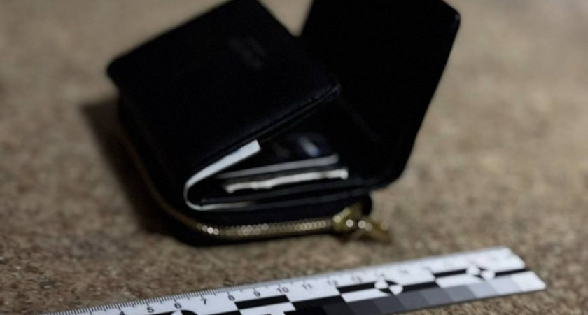 Курьер телефонных мошенников в Новороссийске забрал у пенсионерки 6 миллионов рублей для «декларации» 