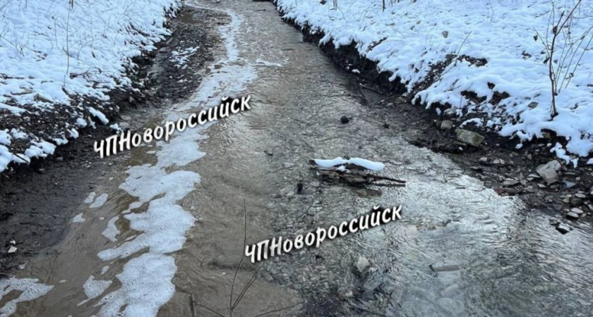 В реку Озерейка под Новороссийском снова стекает темно-коричневая жижа  