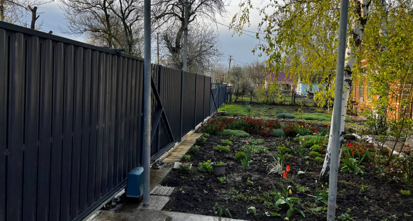 Украшают участок, кормят семью и не требуют сложного ухода: 5 шикарных кустарников для дачи