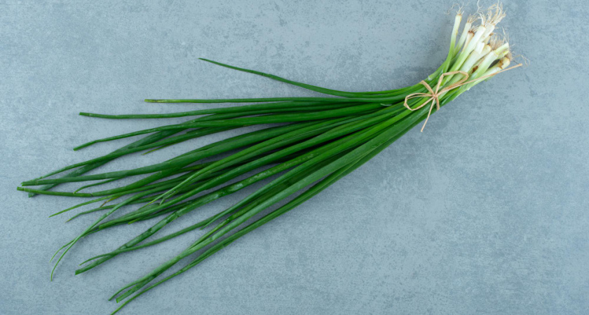 Лук‑перо за 10 дней — простые и рабочие способы получить быструю зелень на подоконнике