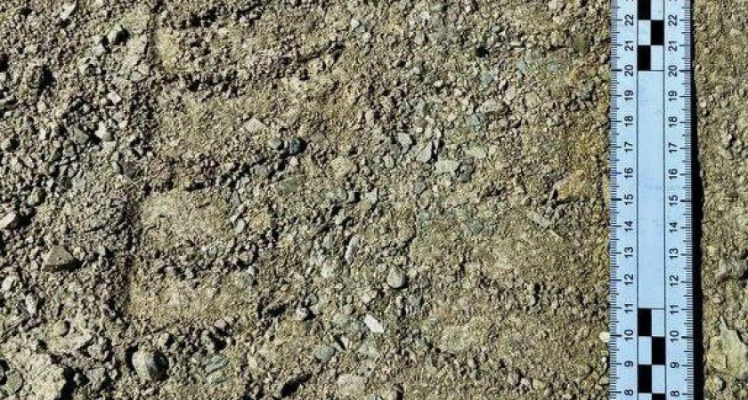 В Новороссийске курьер украл мопед из подъезда многоквартирного дома