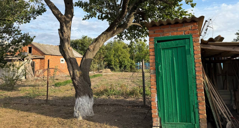 Ушлые дачники сверлят отверстие в унитазе и всю зиму живут спокойно: посоветовал сосед