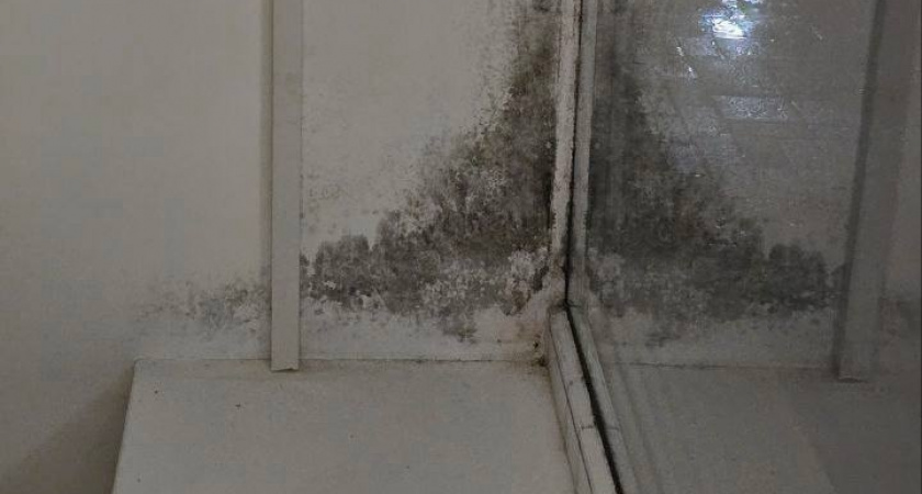 «Там нечем дышать!»: в обновленной за 15 миллионов рублей библиотеке на Анапском шоссе в Новороссийске на стенах появилась плесень