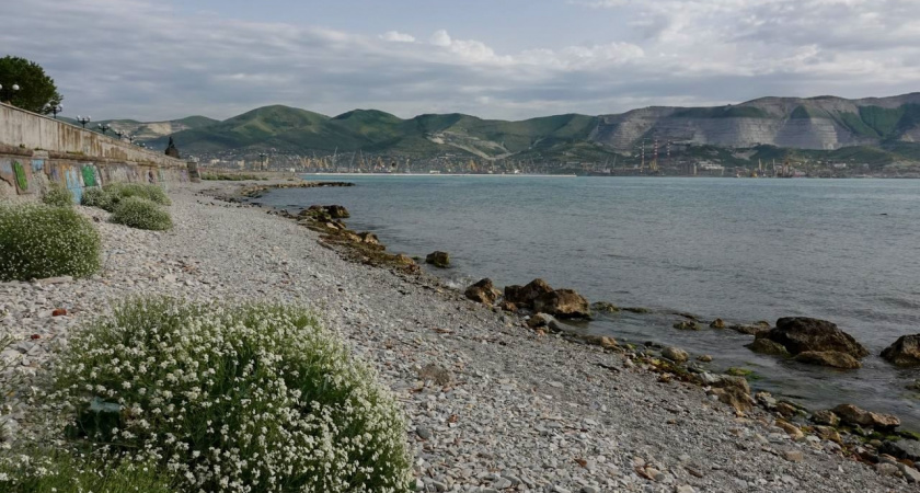 «Поможем сделать наш город чище!»: Новороссийцев приглашают на субботник на Суджукскую косу