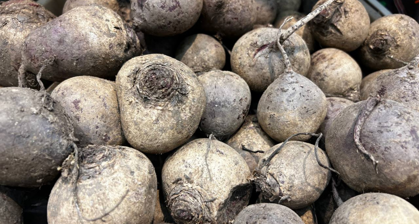 Варю свеклу и морковь за 8 минут — лучше всего для салата: в кастрюлю 1 ложку на 1 л воды — вкусная, сладкая и не "водянистая"