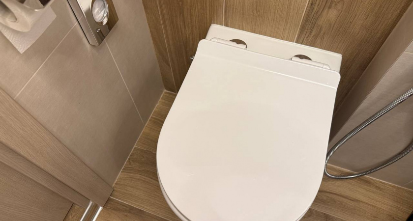 Блестит без химии и прилично экономит бюджет: мой проверенный способ с шипушкой за 15 рублей для идеальной чистоты унитаза