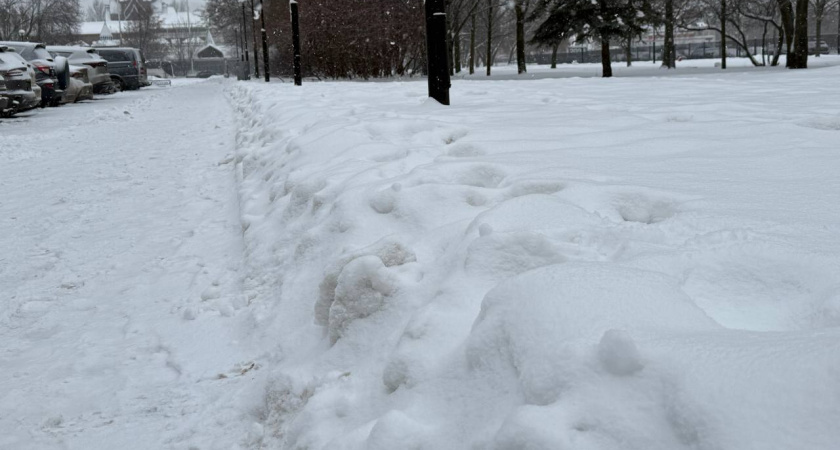«Выходные с 31 января будут самыми необычными в XXI веке». Синоптики сказали, что нас ждёт