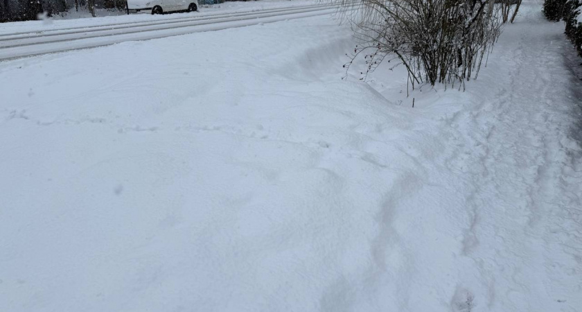 Кубань готовится к арктическому вторжению: в регионе ударят морозы до -23°