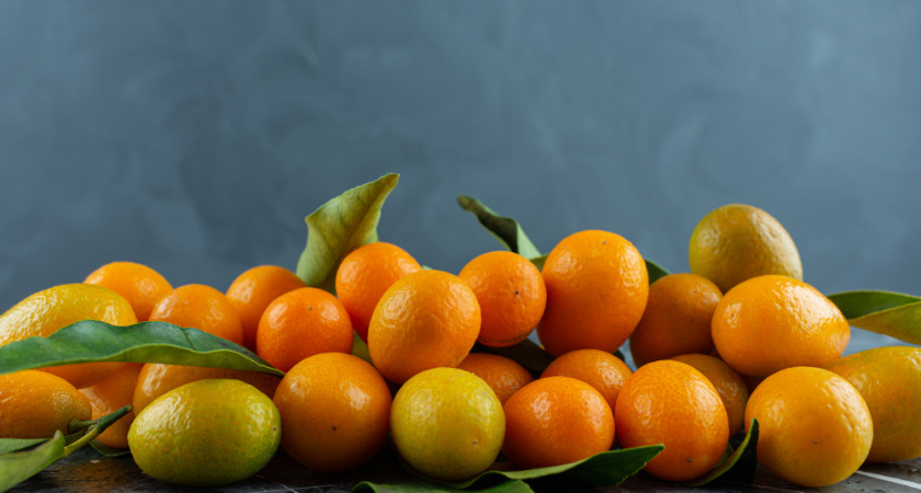 В порту Новороссийска остановили поставку 52 тысяч тонн египетских цитрусовых