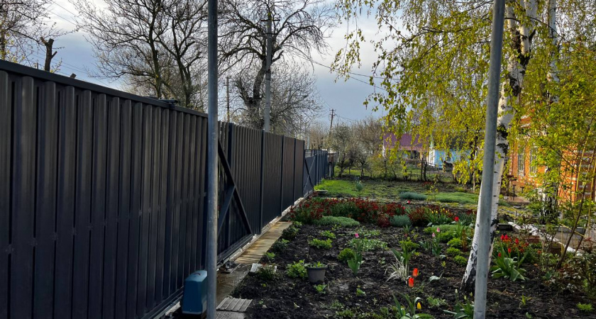 Ваш сад в розовом свете: неприхотливый многолетник, который превратит участок в сказку