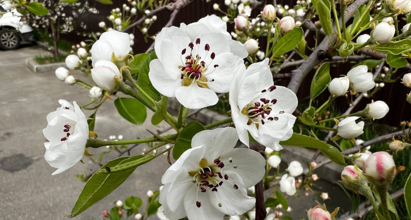 Лютые морозы отступают: синоптики назвали точную дату, когда в России запахнет весной