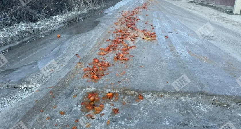  В Новороссийске улица Нины Марухно засыпана гнилой хурмой 