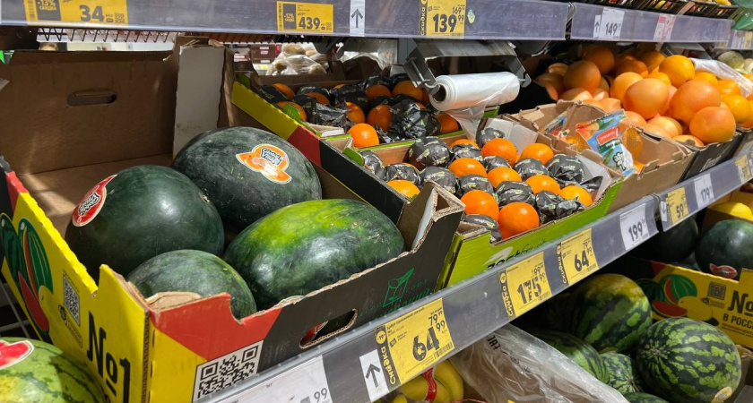 Огурцы – 42 рубля за килограмм, помидоры – 63 рубля: в Дубае фрукты и овощи стоят в пять раз дешевле, чем в Новороссийске